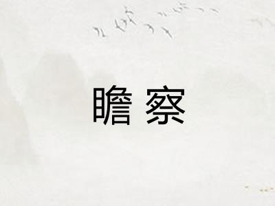 瞻察