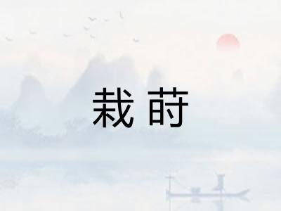 栽莳