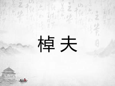 棹夫