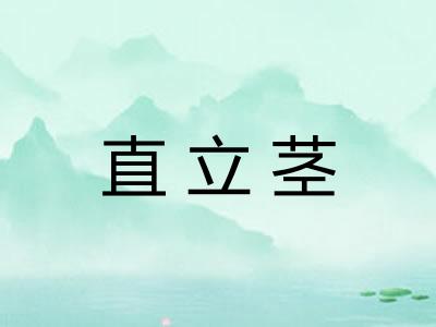 直立茎