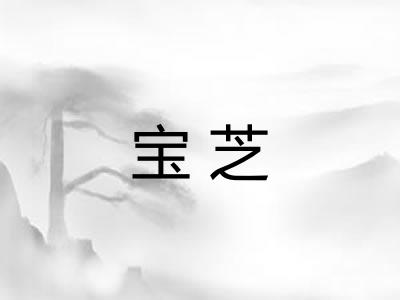 宝芝