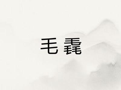 毛毳