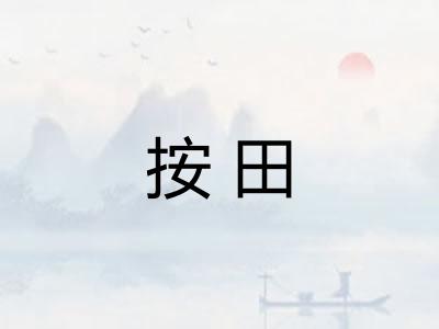 按田