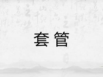套管