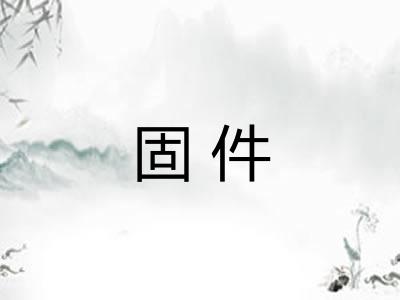 固件