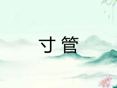 寸管
