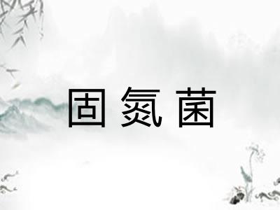 固氮菌