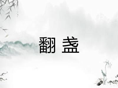 翻盏