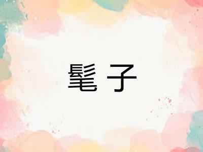 髦子