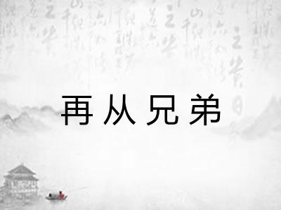再从兄弟