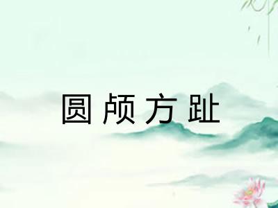 圆颅方趾