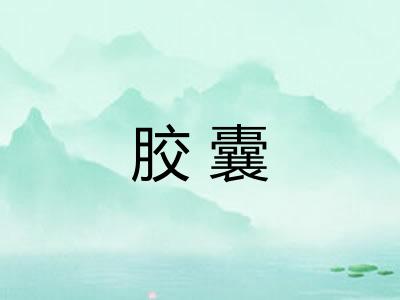 胶囊
