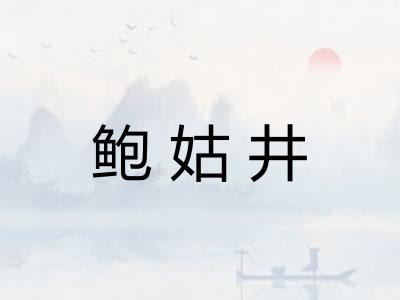 鲍姑井