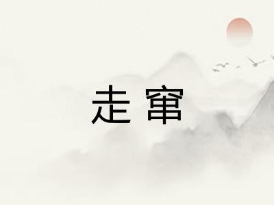 走窜
