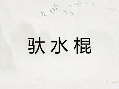 驮水棍