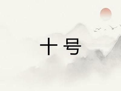 十号