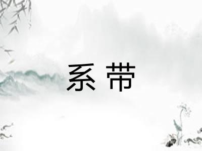 系带