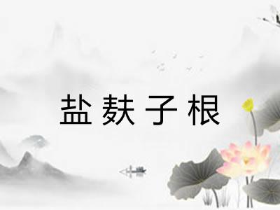 盐麸子根