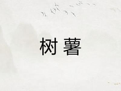 树薯