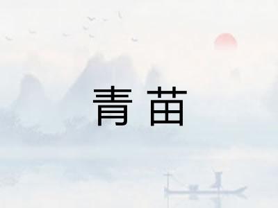 青苗