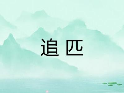 追匹