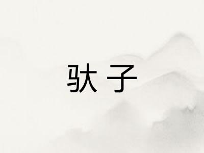 驮子
