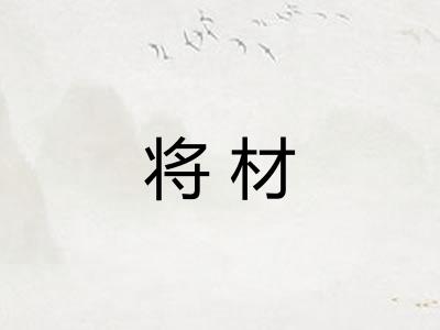 将材