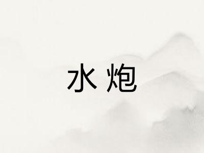 水炮