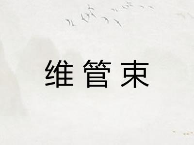 维管束