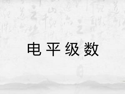 电平级数