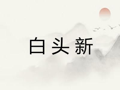 白头新