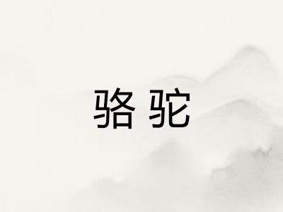 骆驼
