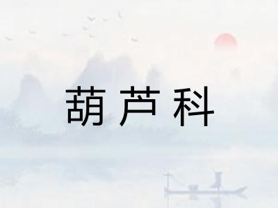 葫芦科