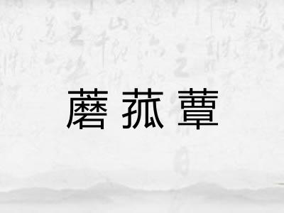 蘑菰蕈