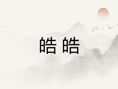皓皓