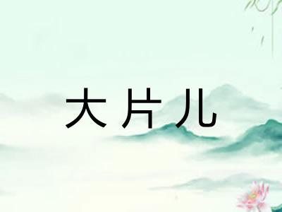 大片儿