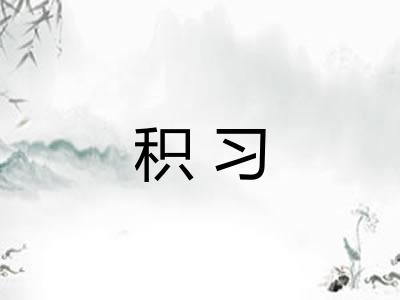 积习