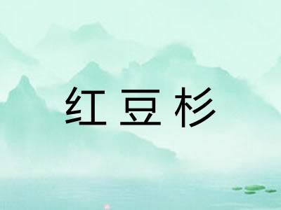 红豆杉