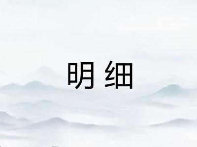 明细