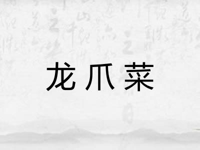 龙爪菜