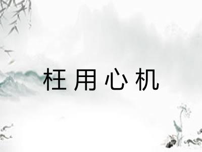 枉用心机