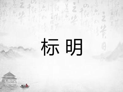 标明