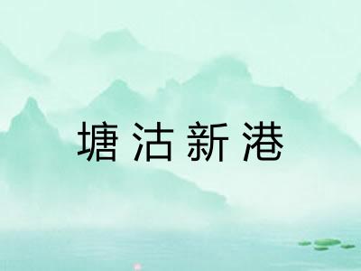 塘沽新港