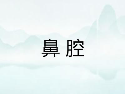 鼻腔