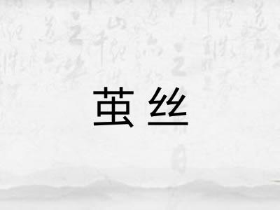 茧丝