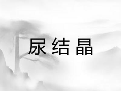 尿结晶