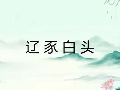 辽豕白头
