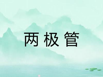 两极管