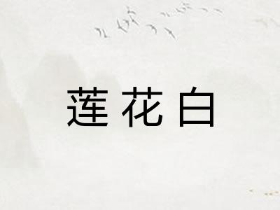 莲花白
