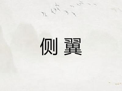 侧翼